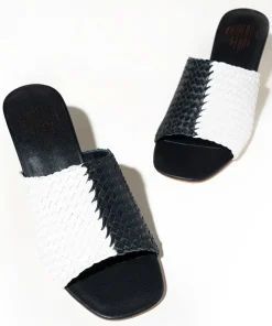 Lenu In*Charlotte Stone Online