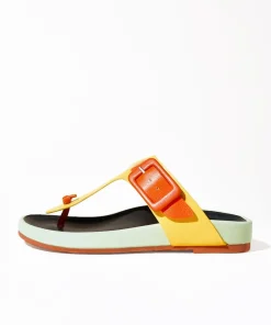 Misty In Multi*Charlotte Stone Best