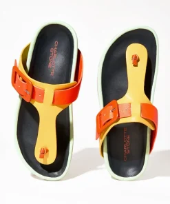 Misty In Multi*Charlotte Stone Best